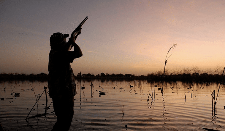 chasse du petit gibier et gibier d'eau au Tchad