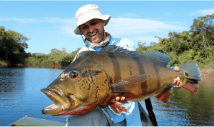 Voyage de pêche du peacock bass en Colombie