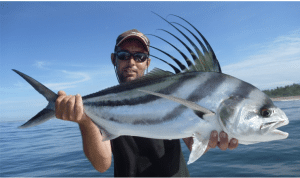 Pêche du poisson coq au Mexique