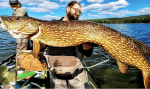 Pêche brochet Suède