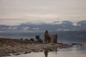 chasse des canards polaires au Canada