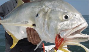 Séjour et voyage de pêche dans l'archipel de Bijagos