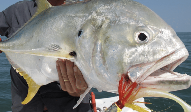 Séjour et voyage de pêche dans l'archipel de Bijagos