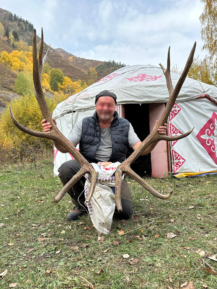 chasse du cerf maral