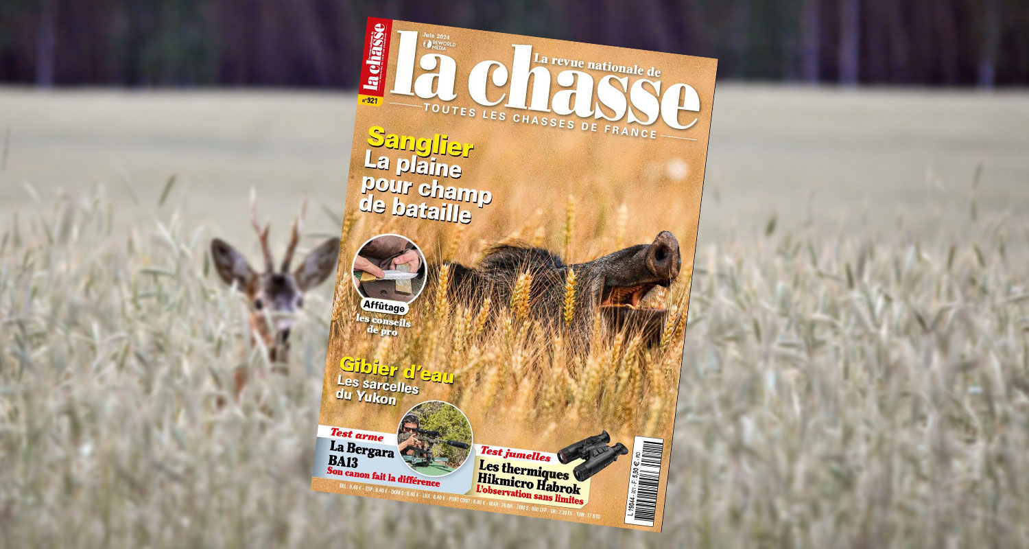 Chasse en Gambie avec DHD Laika