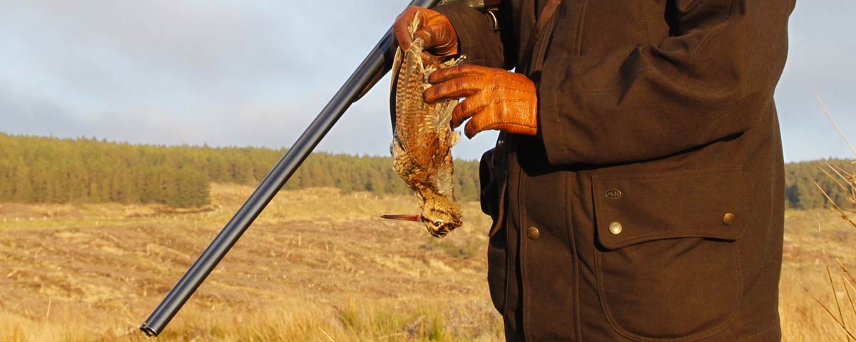 Chasse à la bécasse en Irlande