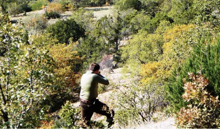 chasse du sanglier Attila Turquie