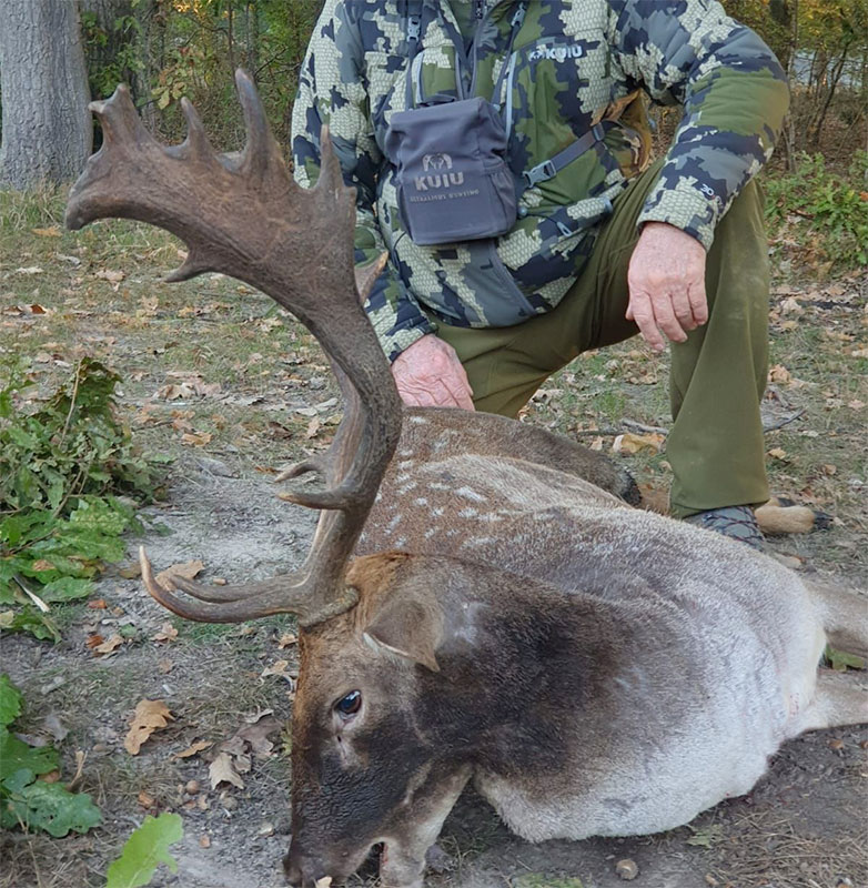Chasse du Daim en Roumanie