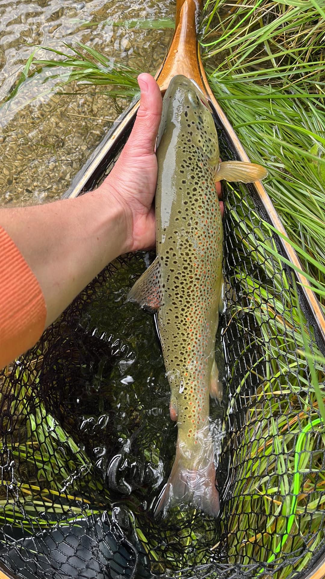 Pêche à la mouche en Autriche