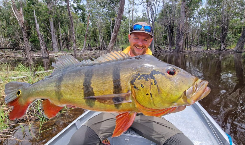 Voyage de pêche en Amazonie pour traquer le Peacok Bass