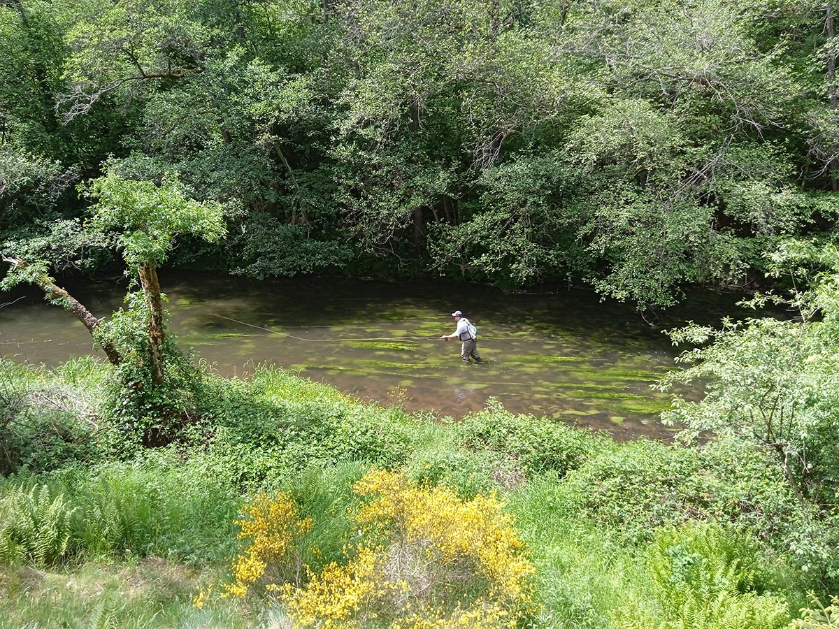 pêche à la mouche en Auvergne