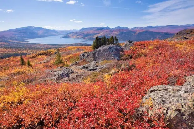 Le Yukon au début de l'automne