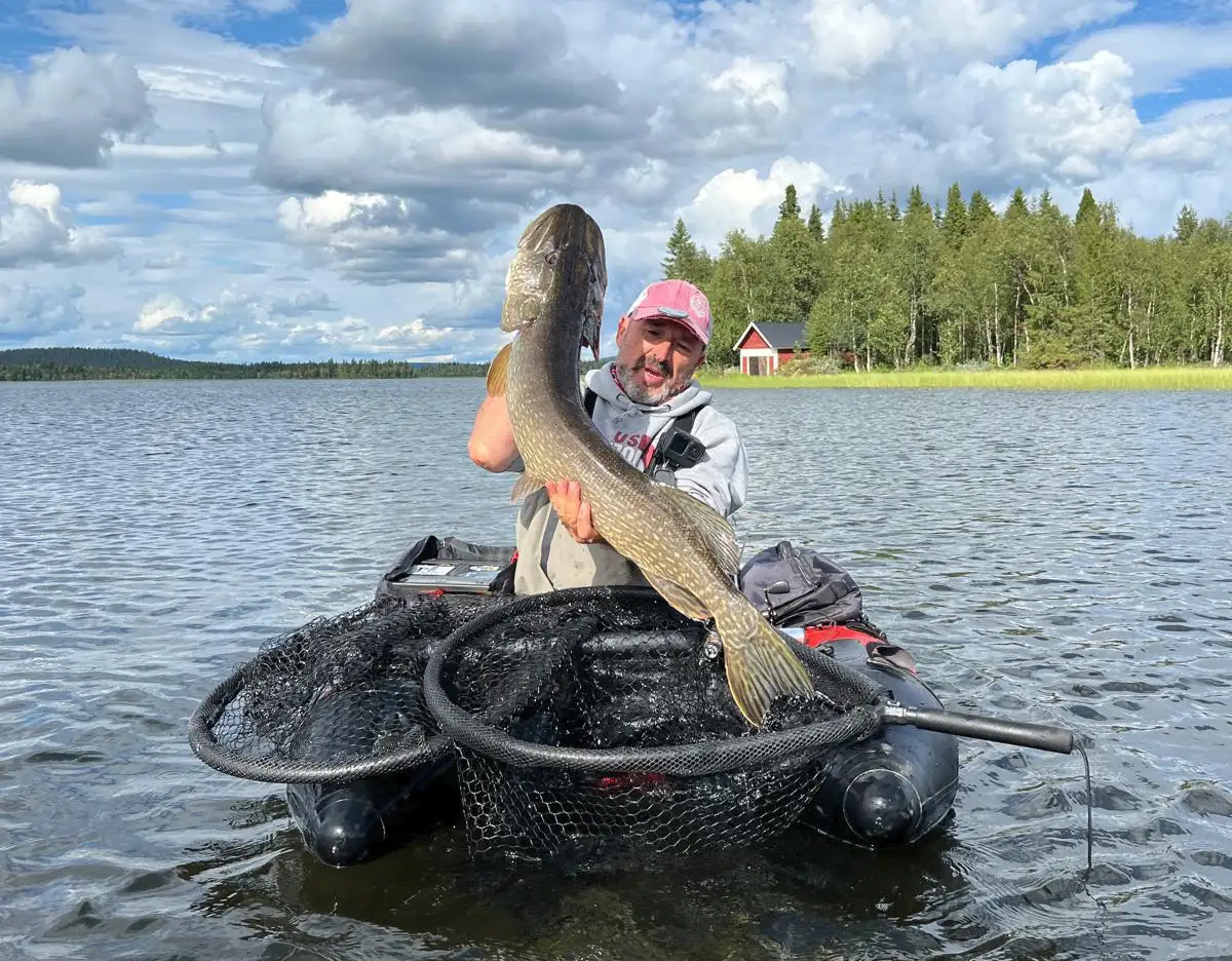 Pêche du brochet en Suède