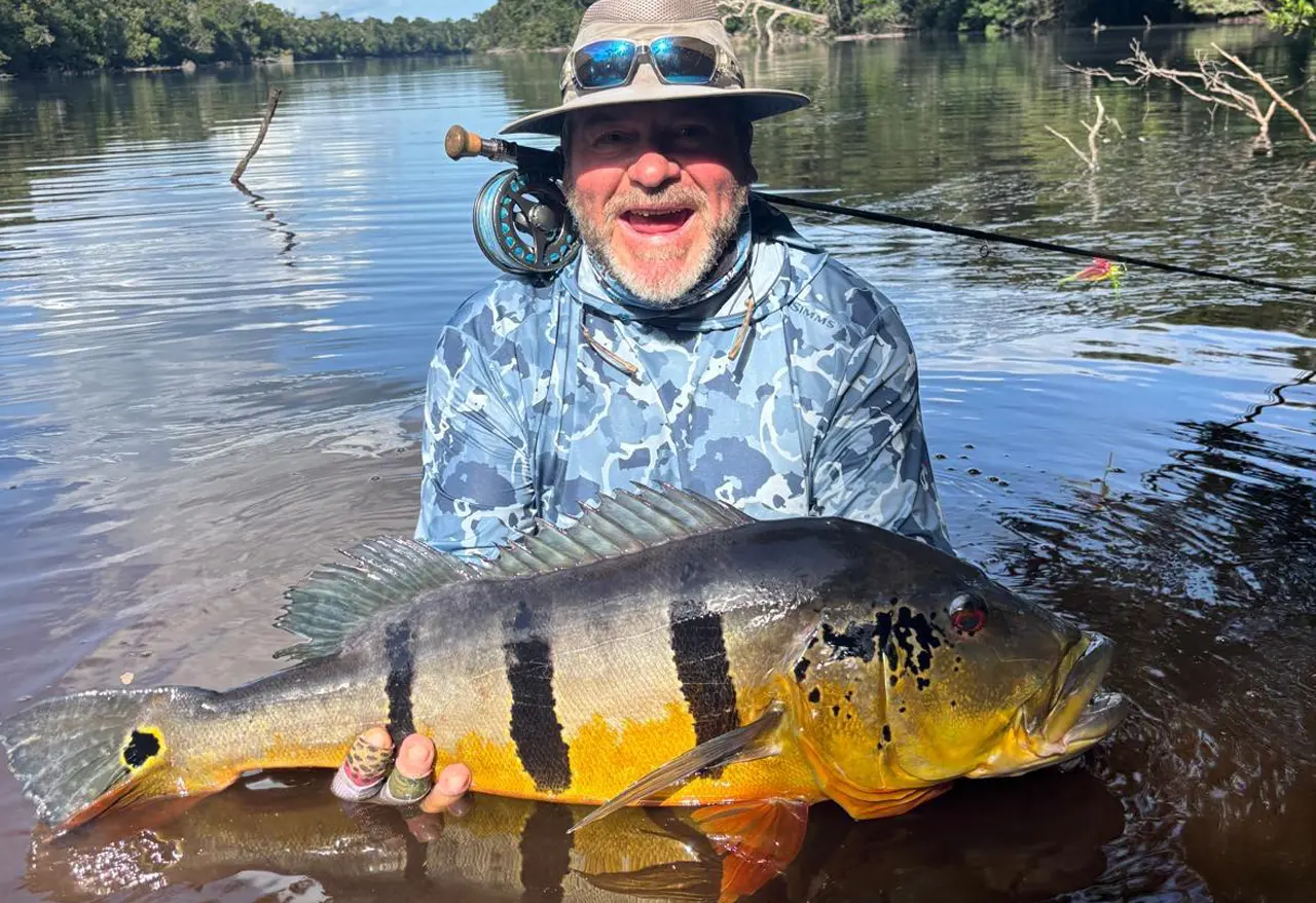 pêche du peacock bass en Amazonie