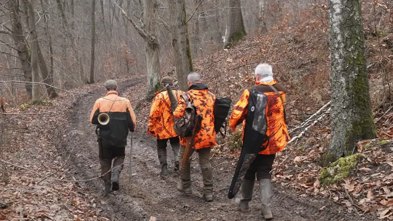 chasse responsable