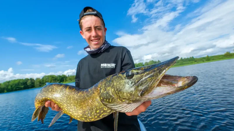 pêche brochet au printemps