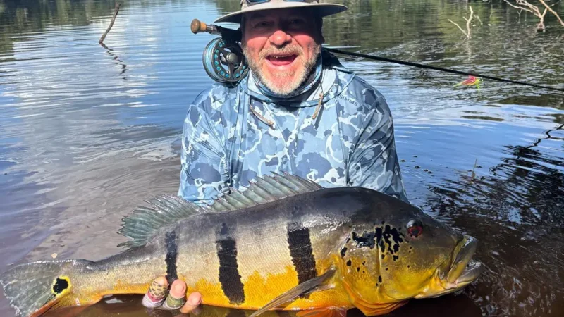 pêche du peacock bass en Amazonie